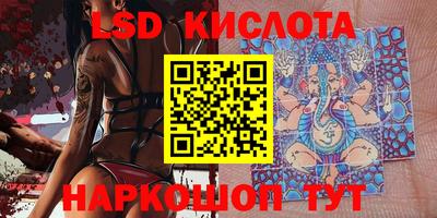 прущие грибы Балахна
