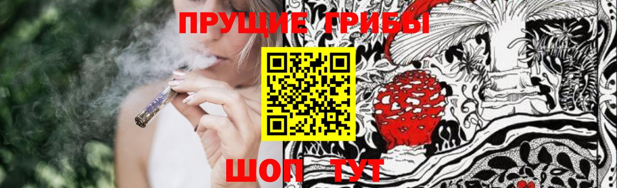 хочу   Вход с VPN  Галлюциногенные грибы Psilocybe  Гатчина  Псилоцибиновые грибы Cubensis 